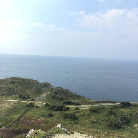 Mermaid Inn Bnb Twillingate Exteriör bild